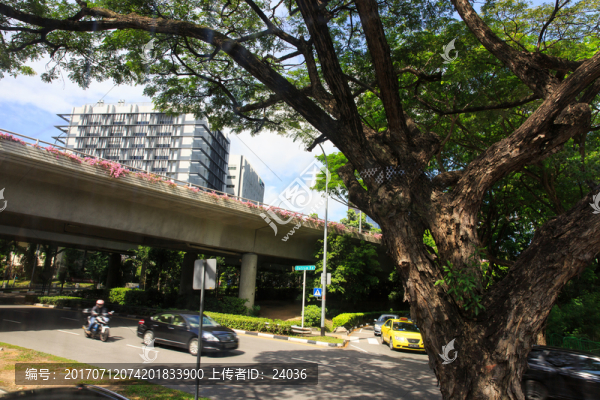 新加坡,天橋