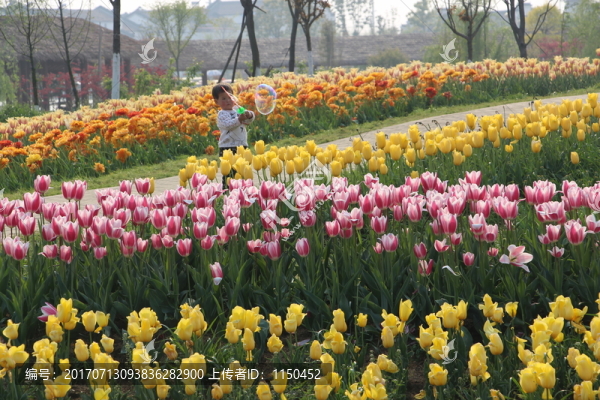 金卉莊園