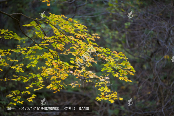 本溪關(guān)門山