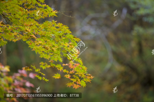 本溪關(guān)門山