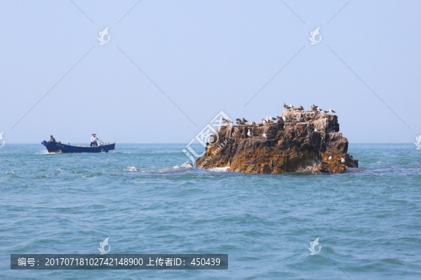 海洋海島