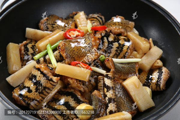 粉葛水律蛇