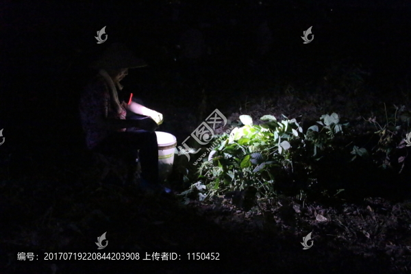 夜半摘豆忙,（7）