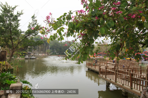 欽州中山公園