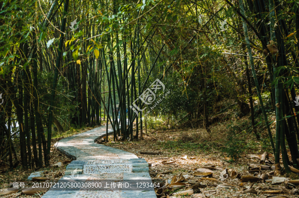 鄉(xiāng)村小路