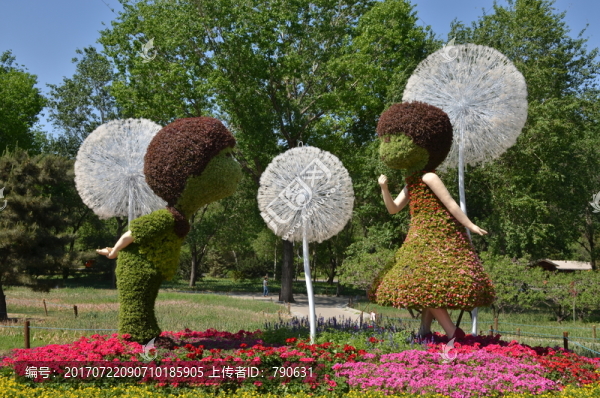 蒲公英景觀