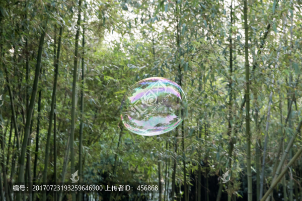 竹林,泡泡