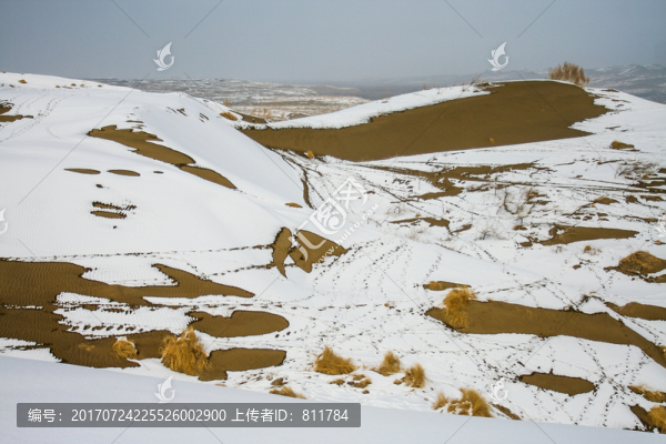 沙漠雪景