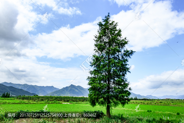 田邊綠樹,藍(lán)天白云