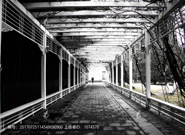 走廊