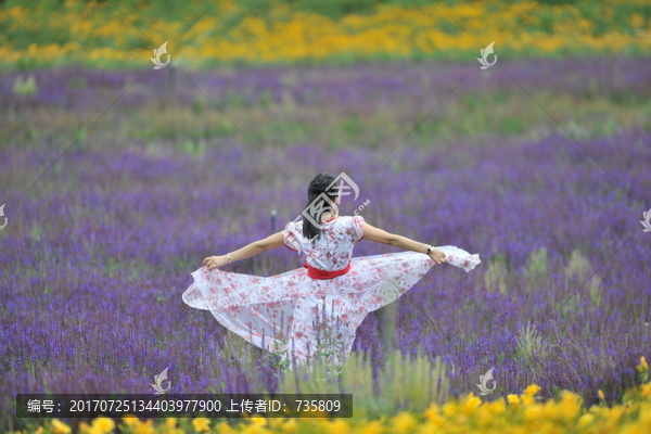 花海女人