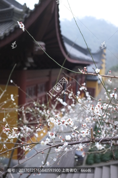 靈隱寺