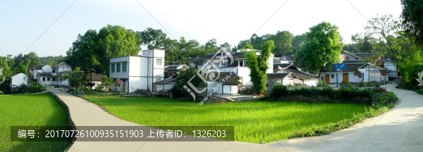靜美中坪村