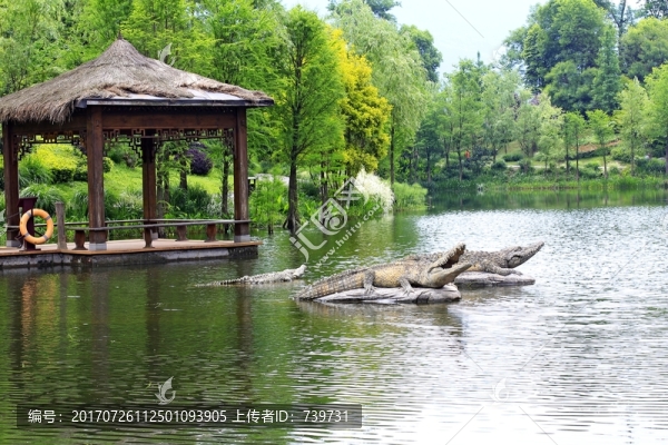 觀音塘濕地公園