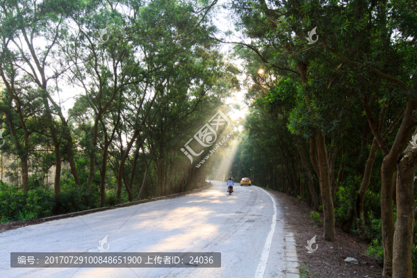 鄉(xiāng)村公路