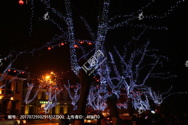 西湖,西湖夜景,樹木,燈光,夜