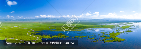 濕地公園