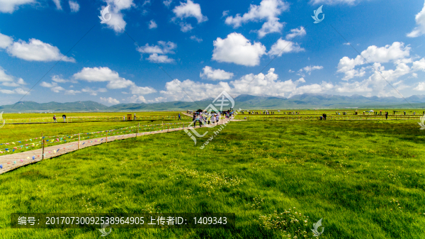 濕地公園