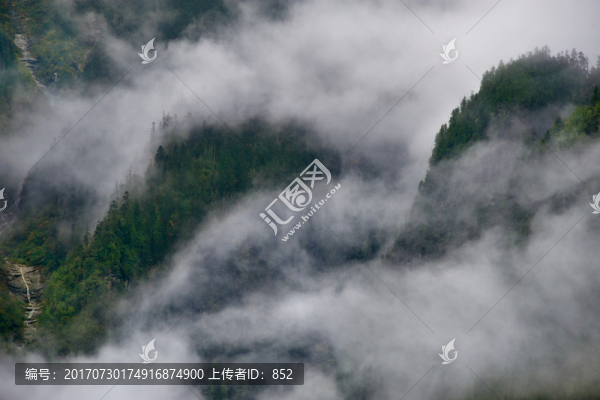 林芝