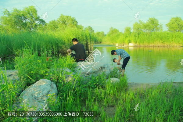 摸魚