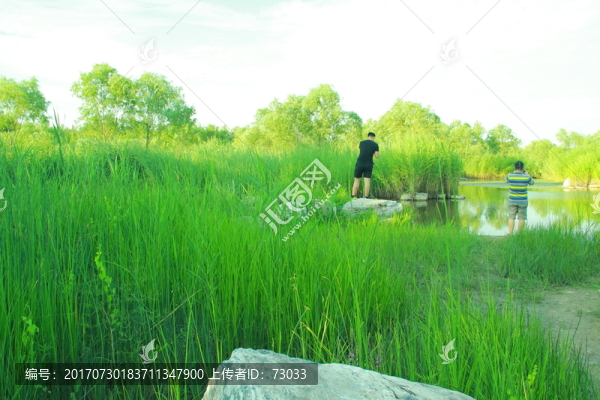 濕地公園
