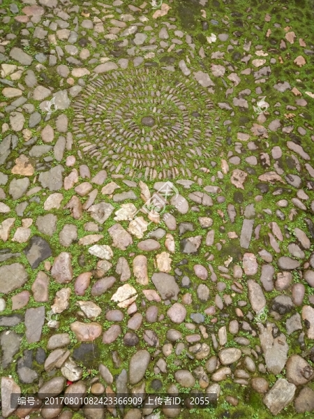 綠苔鵝卵石地面
