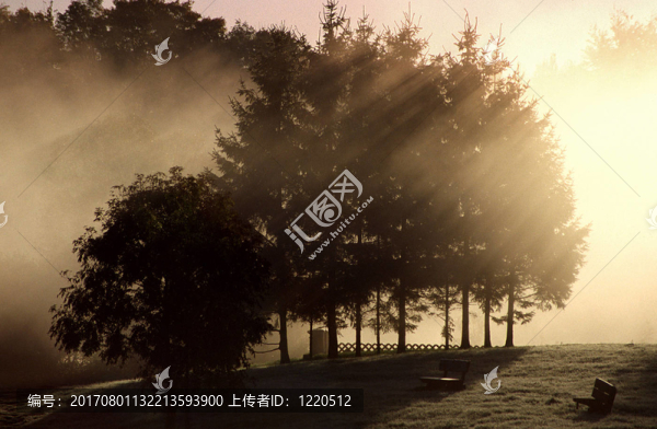 早晨的陽光