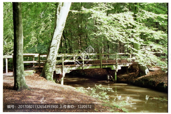 河大橋
