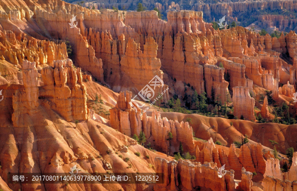 山