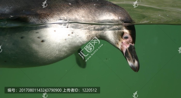 我在那里看到了什么？