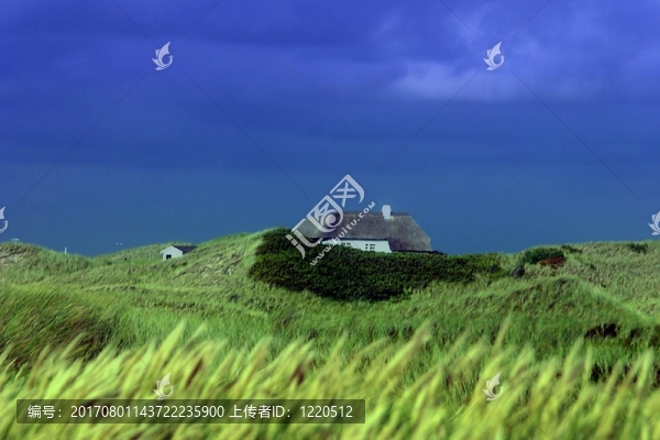 下雨前不久