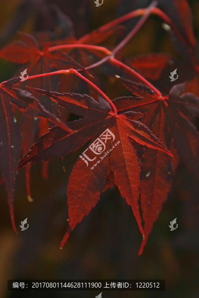 穿過(guò)