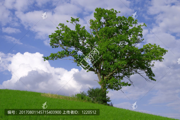 藍色