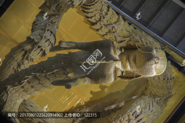沐川草龍