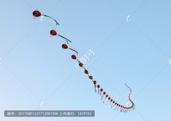 風(fēng)箏