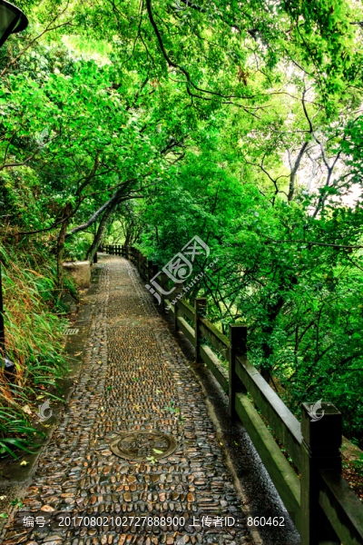 休閑步道,健康步道
