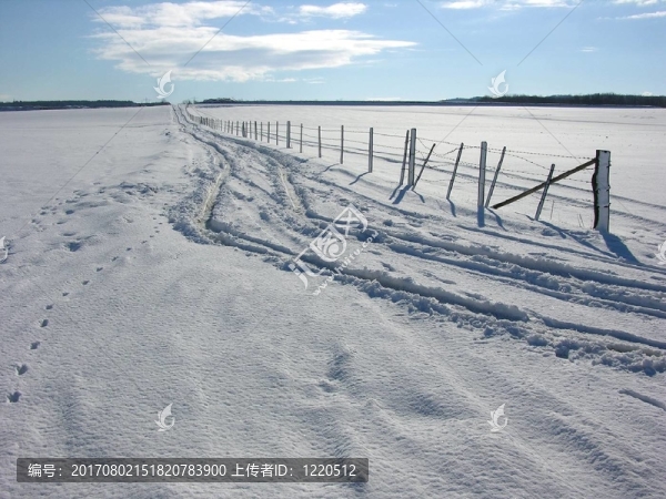 今天的雪