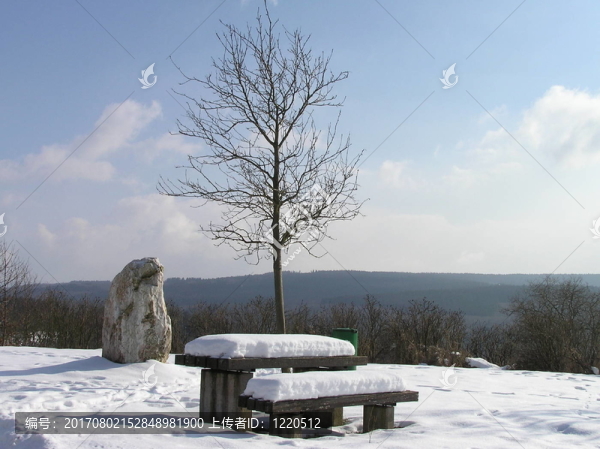 雪岸