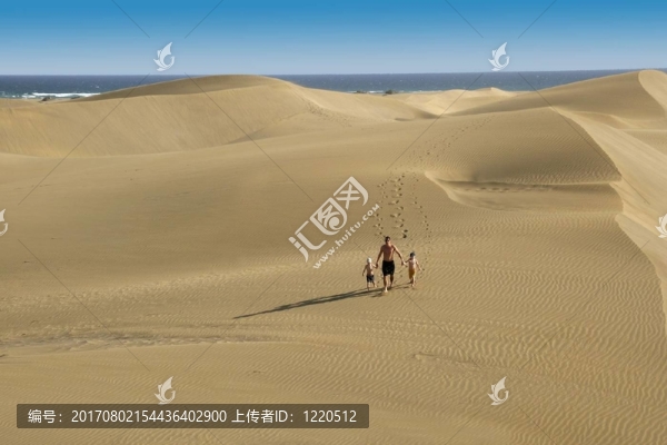 失蹤的沙灘跳蚤