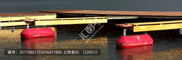 網(wǎng)狀物