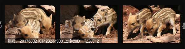 累了