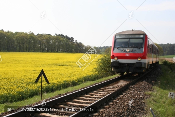 2火車油菜田