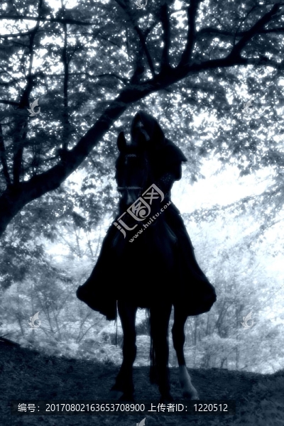 死馬