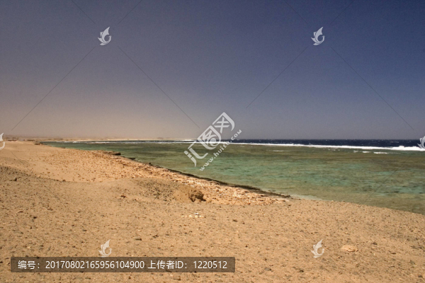 埃及紅海