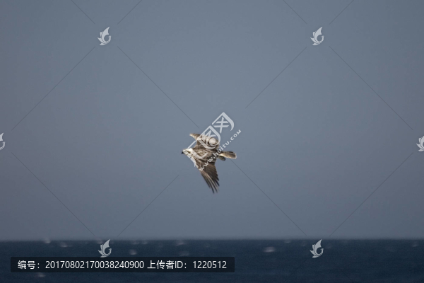 沙漠