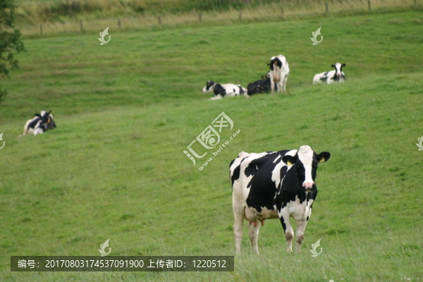 農(nóng)業(yè)