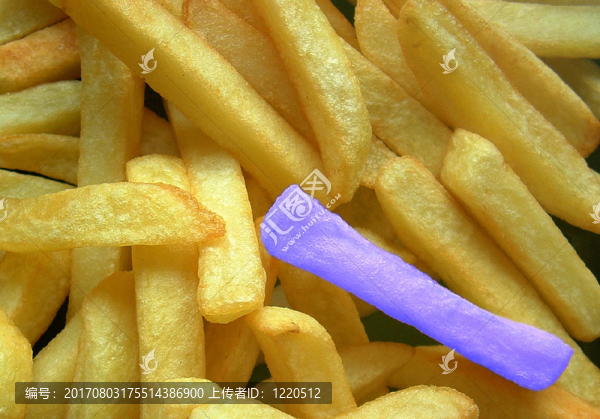 少數(shù)派報告