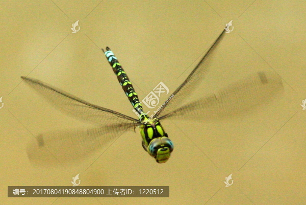小販（4）（3）