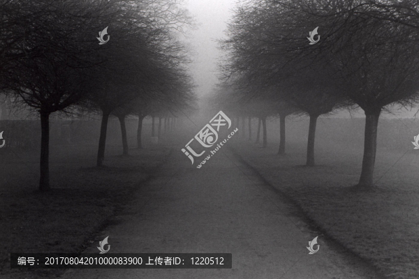霧