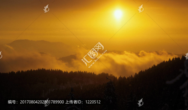冷景觀中的暖光